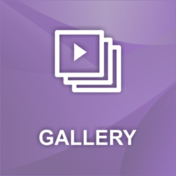 Picture of nopCommerce Image, Video, Picasa, Flickr, Vimeo, YouTube Gallery Plugin